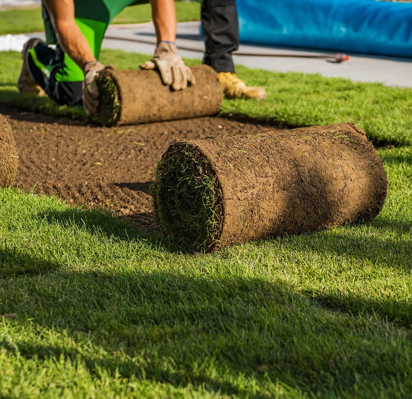 Premium Sod Installation 